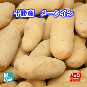 y\̔z\Y@[NC@L@10kg@kCYႪ̃uhI@H̖oNO1yz