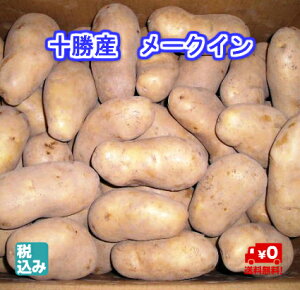 y\̔zkC\Y@[NC@LM@10kg@@kCYႪ̃uhI@H̖oNO1yz