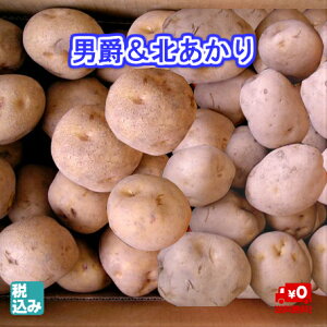 y\̔zjZRYjLM4kg{kLM4kg@kCYႪ̃uhI@H̖oNO1yz