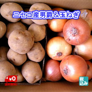 y\̔zkCjZRYjL4kg+kY@ʔKL4kg@GRt@[}[F͔|@H̖oNO1yz