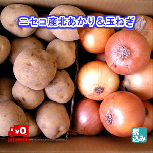 y\̔zjZRY@kLM4kg+kY@ʔKL4kg@GRt@[}[F͔| H̖oNO1yz