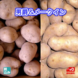 y\̔zjZRYjLM4kg+\Y[NCLM4kg@kCYႪ̃uhI@ H̖oNO1yz
