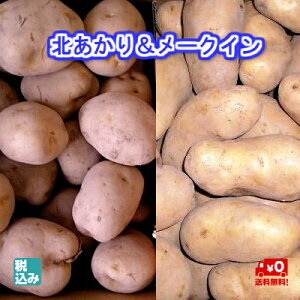 y\̔zjZRY@kL4kg+\Y[NCL4kg@@kCYႪ̃uhIH̖oNO1yz