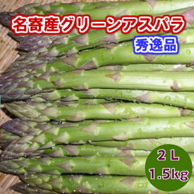 特選アスパラガス　北海道　名寄産　グリーンアスパラ（露地アスパラ）　2L　1．5kg（500gx3）【送料無料】【二重選別の秀逸品】【5月下旬発送開始】