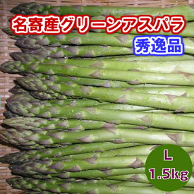 特選アスパラガス　北海道　名寄産　グリーンアスパラ（露地アスパラ）　L　1．5kg（500gx3）【送料無料】【二重選別の秀逸品】【5月下旬発送開始】