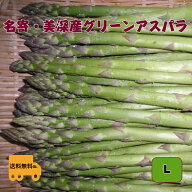 【予約販売】特選アスパラガス　北海道　名寄・美深産　グリーンアスパラ（露地アスパラ）L 1.5kg（500gx…