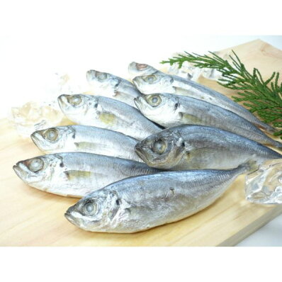楽天市場 豆アジ 国産まめあじ 1kg 冷凍バラ凍結 豆あじ 冷凍 鯵 ジンタ 唐揚げ 南蛮漬け 素揚げ カルシウム 業務用 国内産 豆あじ シーフードマックス楽天市場店