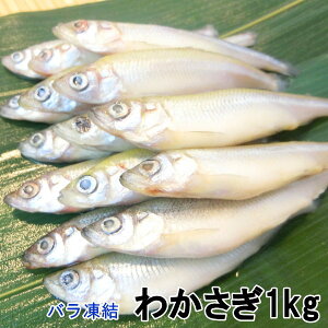 わかさぎ 魚介類の人気商品 通販 価格比較 価格 Com わかさぎ 魚介類の人気商品 通販 価格比較 価格 Com