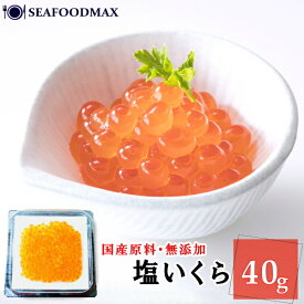 いくら 小分け パック 塩いくら 鮭卵 40g 【国内産】【塩 いくら イクラ 鮭子 塩漬け 】【ギフト】・塩いくら40g・