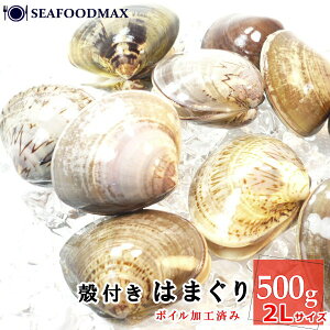͂܂ Ⓚ {C kt͂܂ 2LTCY 8-10 500g y n}O z kt o` o[xL[zEkt͂܂y2LzE
