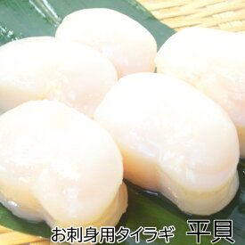 タイラギ 平貝 11/15 500g 冷凍 お刺身用 寿司ネタ 【貝 たいらぎ タイラギ貝】・平貝11/15【500g】・