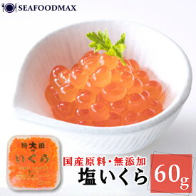 いくら 小分け パック 塩いくら 鮭卵 60g 【国内産】【塩 いくら イクラ 鮭子 塩漬け 】【ギフト】・塩いくら60g・