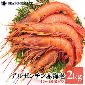 Ⓚ ԃGr hg A[` Ԃ yL2z 2kg 40-60yԊCV  AJGr A[`AJGr VRԊCVzEA[`ԊCVL2E