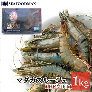 CV  Ⓚ ubN^CK[ 1kg 35-40 }_KX[W v~A H\ i̊CV Gr E}_KX[WE