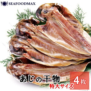 I ^̊ 4Zbg 25cmTCY  AW  Ђ ^ BBQɂ E4E