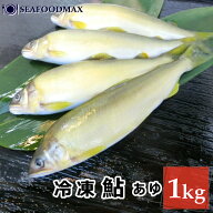 鮎 冷凍 1kg 約15-18尾【あゆ 鮎 アユ バーベキュー BBQ】【ギフト】・冷凍鮎・
