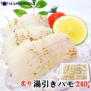  n ؂ t 240g i24ؓj y ͂ Ƃ z izyⓀzEnE