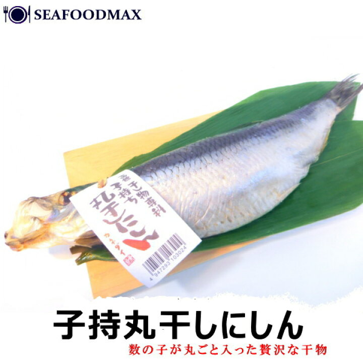 楽天市場 国内産 子持ちにしん 一汐干し 約30cm セット ニシン 鰊 数の子 丸干し ひもの 子持ち 魚卵 バーベキュー q ギフト 子持にしん丸干し シーフードマックス楽天市場店