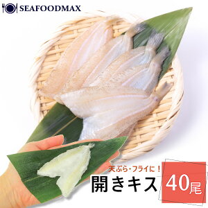   JLX 40 LX̊J yLX J VՂ gzEJLX40E