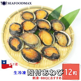 あわび 冷凍 鮑 刺身 生食可能 1kg あかねアワビ 12粒入り 冷凍 チリ産 殻付 お刺し身 バター焼き に！ 茜あわび 生冷 BBQ ・殻付あわび12個入・