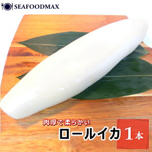  Ⓚ [CJ 800g  ނg TLCJ CJ ނ炳E[CJE