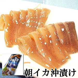  Ђ Ђ ܂邲1t Y̒lCJ yCJ XCJ CJ فzECJЂE