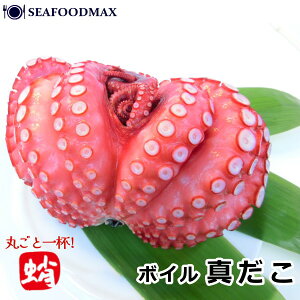  ^R  {C ^_R 1t ۂ y _R ^R {C iz yⓀzyMtgzE{Cy^zE