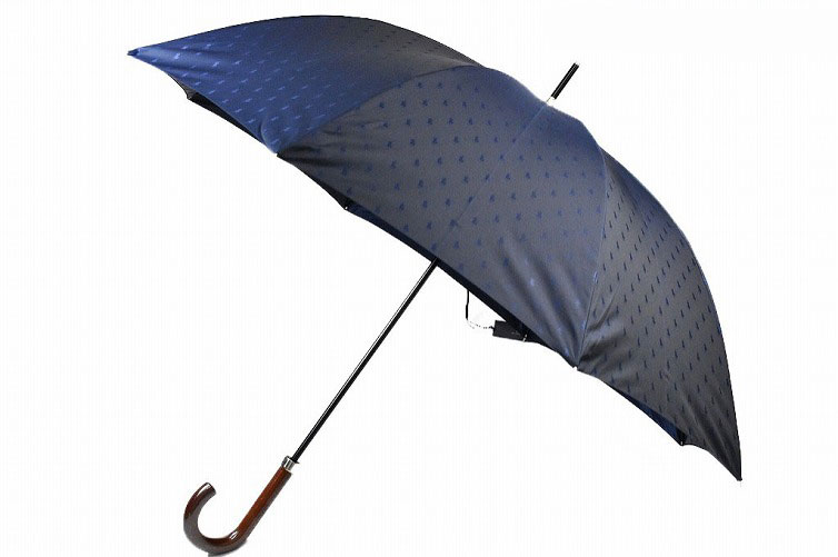 ラルフローレン メンズ ブランド 雨傘 Ralph Lauren ギフト 軽量 父の日 男性 ギフト 紳士 長傘 65cm ネイビー 系 全品送料無料 ロゴデザイン