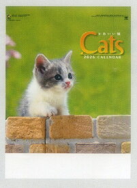 2026年版カレンダー　かわいい猫　処分価格で出品＋送料660円