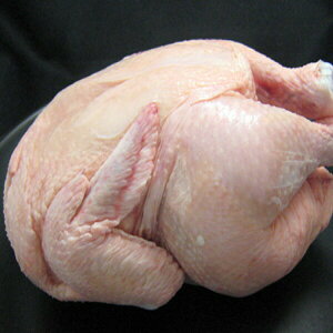 ���� 1�H ������ �z�[���`�L���@��1kg