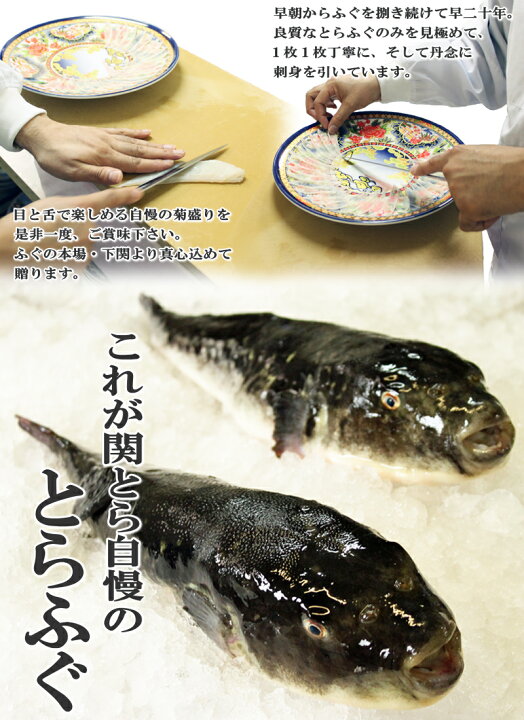 楽天市場】ふぐ とらふぐ お歳暮 お取り寄せグルメ とらふぐ刺身とふぐちりセット ふぐ刺身 フグ ふぐちり ふぐ鍋 御祝 内祝 ギフト 送料無料 : ふぐの本場下関 関とら 楽天市場】ふぐ とらふぐ お歳暮 お取り寄せグルメ とらふぐ刺身とふぐちりセット ふぐ刺身 フグ ふぐちり ふぐ鍋 御祝 内祝 ギフト 送料無料 : ふぐの本場下関 関とら
