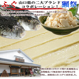 お歳暮ギフト送料無料!とらふぐ大吟醸粕漬け【とらふぐ,粕漬け,酒粕,お歳暮,ふぐ,フグ,河豚,お取り寄せグルメ】【楽ギフ_のし】