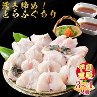 【敬老の日 早割】 おつまみ ギフト ふぐ 朝獲れ活締め冷蔵とらふぐ鍋セット500g（3〜4人用） てっちり …