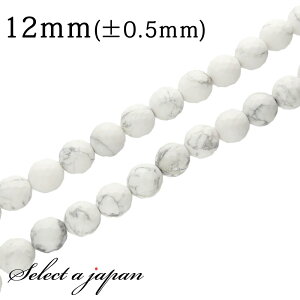 ySALEIz u1A 15cmv nECg(}OlTCg) 128ʃJbg 12mm p[Xg[ o VR p[Xg[ A r[Y  ΂甄 ANZT[ p[c nhCh ANZ