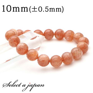 TXg[ uXbg 10mm p[Xg[ uXbg fB[X VR  ANZT[ fB[XuXbg p[Xg[uXbg VR΃uXbg p s