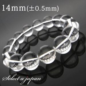 y}\SALEIz zCggp[Y uXbg 14mm gp[Y p[Xg[ uXbg fB[X Y VR  ANZT[ YuXbg fB[XuXbg p