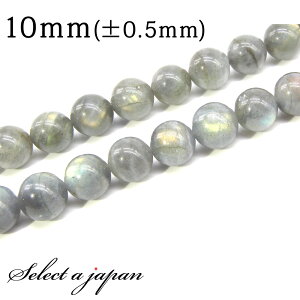 ySALEIz u1A 15cmv uhCg 10mm p[Xg[ o VR p[Xg[ A r[Y  ΂甄 ANZT[ p[c nhCh ANZT[p[c ޗ VR