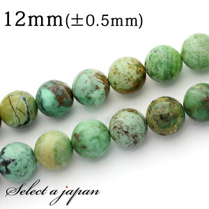 ySALEIz u1A 15cmv oTCg 12mm p[Xg[ o VR p[Xg[ A r[Y  ΂甄 ANZT[ p[c nhCh ANZT[p[c ޗ VR΃r