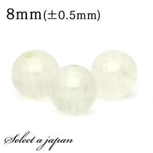 ySALEIz 1 rAOX 8mm p[Xg[ o VR p[Xg[ ΂甄 r[Y  1ʔ ANZT[ p[c nhCh ANZT[p[c ޗ VR