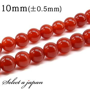 ySALEIz u1A 15cmv J[lA 10mm p[Xg[ o VR p[Xg[ A r[Y  ΂甄 ANZT[ p[c nhCh ANZT[p[c ޗ VR