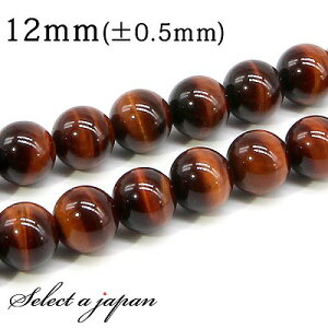 ySALEIz u1A 15cmv AAA bh^CK[AC 12mm p[Xg[ o VR p[Xg[ A r[Y  ΂甄 ANZT[ p[c nhCh ANZT[p[c 