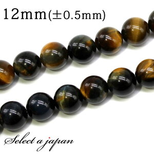 ySALEIz u1A 15cmv u[^CK[AC 12mm p[Xg[ o VR p[Xg[ A r[Y  ΂甄 ANZT[ p[c nhCh ANZT[p[c ޗ 