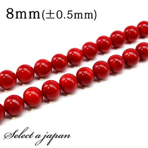 ySALEIz u1A 15cmv R[ (bh) 8mm p[Xg[ o VR p[Xg[ A r[Y  ΂甄 ANZT[ p[c nhCh ANZT[p[c ޗ V