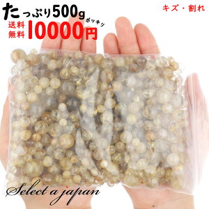 yقڑSiP20{I1231959܂Łz  500g S[h`NH[c NG o VR p[Xg[ ΂甄 r[Y  ʔ Bi Ci AEgbg 󂠂 ^ ANZT