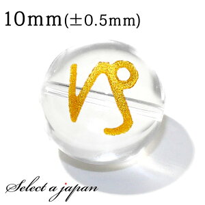 yقڑSiP20{I1118܂Łz () 1 Rr    10mm p[Xg[ o VR p[Xg[ ΂甄 r[Y  1ʔ ANZT[ p[c nh