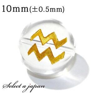 yقڑSiP20{I1118܂Łz () 1 r    10mm p[Xg[ o VR p[Xg[ ΂甄 r[Y  1ʔ ANZT[ p[c nh