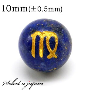 ySALEIz () 1    sXY 10mm p[Xg[ o VR p[Xg[ ΂甄 r[Y  1ʔ ANZT[ p[c nhCh ANZT