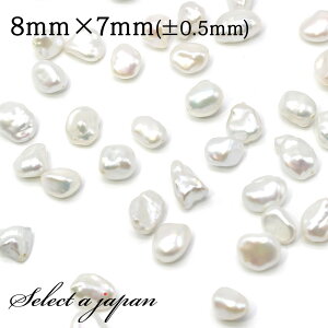 y2ԑSizN[|I202159܂Łz 3 obN p[ 8mm×7mm ^ Wp[ o ΂甄 r[Y  ʔ ANZT[ p[c nhCh ANZT[