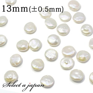 yقڑSiP20{I1231959܂Łz 3 ۃRC^ p[ 13mm ^ Wp[ o ΂甄 r[Y  ʔ ANZT[ p[c nhCh ANZT[p[c ޗ