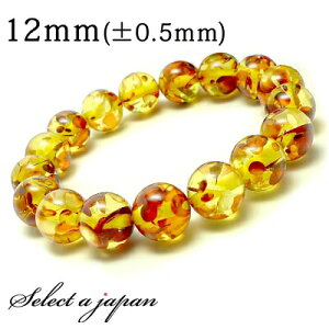  ij Ao[ uXbg 12mm p[Xg[ uXbg fB[X Y  ANZT[ YuXbg fB[XuXbg p[Xg[uXbg j